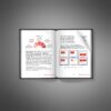 How to Scale with YouTube Ads - Image 4