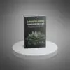 Mindfulness for Everyday Life - Image 5